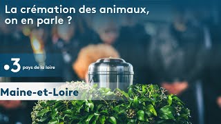 crémation danimaux leur fin de vie existe aussi [upl. by Gnourt]