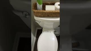 How to flush an American Standard Toilet [upl. by Searby]