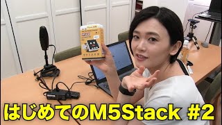 【はじめてのM5Stack 】第2回 機能チェックと初期セットアップ [upl. by Ladnyc795]