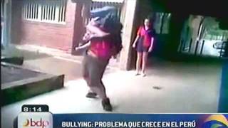 Informe sobre bullying y ciberbullying en el Peru [upl. by Hallette874]