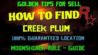 How to find the CREEK PLUM for Moonshiner Role Where to find Creek Plum Red Dead Online rdr2 [upl. by Fontana]