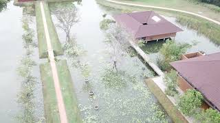 Water Garden Hotel Sigiriya Sri Lanka [upl. by Neelac]