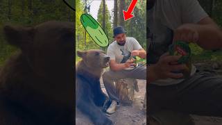 Pet A Bear And Feed Pickles  Unbelievable [upl. by Bright]