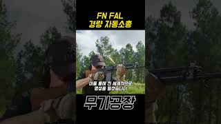 짧게 보는 FN FAL 경량 자동소총 [upl. by Madelene]