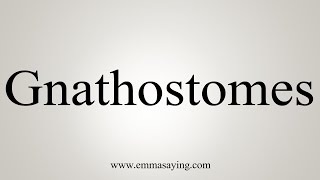 How To Say Gnathostomes [upl. by Gayner]