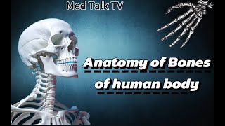 Anatomy of bones of human body  Med Talk TV  science education viralvideo [upl. by Hollinger954]