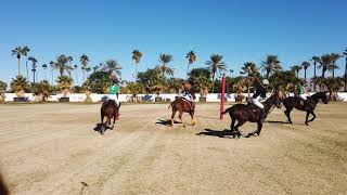 EquineView  Polo reel [upl. by Tybie]