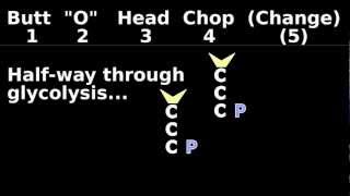 Glycolysis Mnemonic Animation 25 Easy Biochemistry Introduction Tutorial [upl. by Maia884]