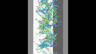 Microstructure Patter Formation in Ni Single Crystals  movie1 [upl. by Brina]