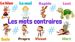 Apprendre les mots contraires en français [upl. by Merrili]