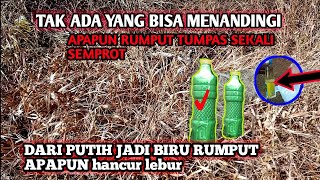 cukup 1 botol kecil ll 1 hektar Rumput hancur lebur tidak tersisa sampai benihnya cuma modal ini [upl. by Phyllys]