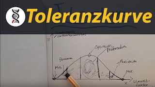 TOLERANZKURVE beschreiben und verstehen ABITUR  studyrunner [upl. by Alram]