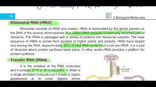 Ribonucleic Acid RNA 11th biology education biology [upl. by Targett]