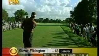 Steve Elkington 3 iron at the 1997Doral [upl. by Ynitsed]