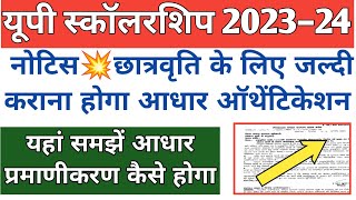 up scholarship new registration 2023 24 up scholarship 202324 apply up scholarship kab tak aayega [upl. by Josefa]