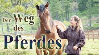 Der Weg des Pferdes  Dokumentarfilm  Deutsch Untertitel [upl. by Celka]