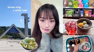 seoul vlog ᯓ★ trying every convenience food 🫡 first day at university  ft totwoo [upl. by Jilleen157]