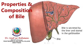 Properties and composition of bile [upl. by Kataway]