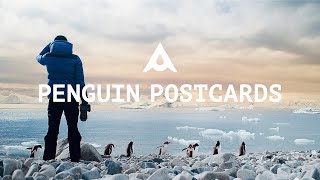 PENGUIN POSTCARD – CAPTURING ANTARCTICA [upl. by Geiger]