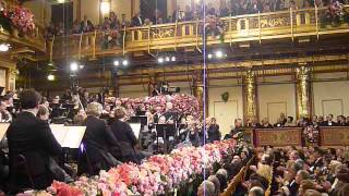 Wiener Philharmoniker Silvesterkonzert 31122013   Radetzky March [upl. by Yrnehnhoj]