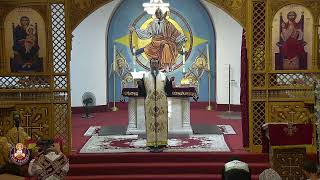 St Maurice Coptic Orthodox Church Live [upl. by Origra]