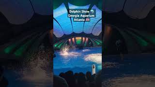 Watch the Dolphin 🐬show at Georgia Aquarium Atlanta 🇺🇸 dolphins dolphinshow georgiaaquarium [upl. by Gnouv]