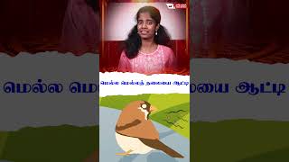 சிட்டுக்குருவி் பிடிக்குமா பாடல் அமலன் ஜெரோம்  Singer Sharon  Tamil Mutram [upl. by Htebasile926]