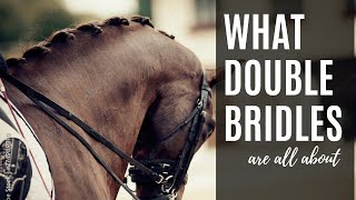 What Double Bridles Are  Equestrian Education [upl. by Aicilaf]