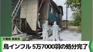 千葉県富里市の鳥インフル 5万7000羽の処分完了（20240502放送） [upl. by Michaeline]