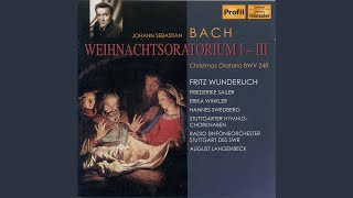 Christmas Oratorio BWV 248 Part II Aria Schlafe mein Liebster geniesse der Ruh Alto [upl. by Godden]