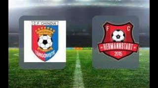 Chindia Targoviste vs FC Hermannstadt live video [upl. by Marquet773]