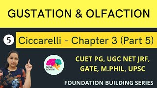 PSYCHOLOGY Ciccarelli Chapter 3  Part 5  Gustation amp Olfaction  Mind Review [upl. by Sible]