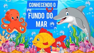 ANIMAIS AQUÁTICOS  Educação infantil  Conhecendo o FUNDO DO MAR Animais Marinhos video educativo [upl. by Littell]