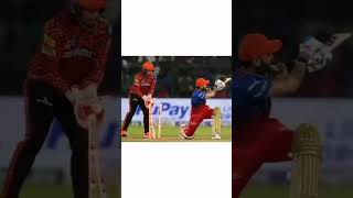 MS Dhoni versus Virat Kohli roast video [upl. by Wirth]