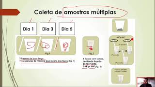 Exame Parasitológico de Fezes EPF comparação dos métodos e técnicas Curso de Parasitologia [upl. by Oetam]