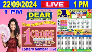 Nagaland Lottery Sambad Live 8pm 21092024  Lottery Live [upl. by Ahsikad]