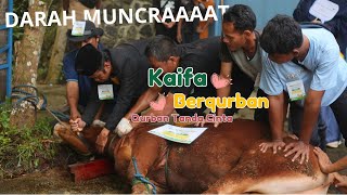 KAIFA BERQURBAN 2024 [upl. by Pillyhp]