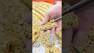 The Chinese make sesame seeds😲 shortvideo amazingfacts [upl. by Yruoc]