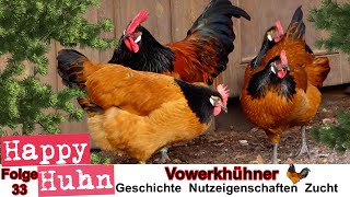 E33 Vorwerkhühner im Rasseportrait bei HAPPY HUHN  Geschichte Zucht und Haltung vom Vorwerkhuhn [upl. by Arathorn]