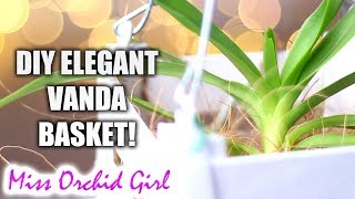 Making an elegant Vanda Orchid Basket [upl. by Urina998]