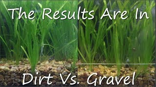 Dirt Vs Gravel Planters Results [upl. by Brok]