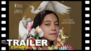 🎬 TOTEM  TRAILER ESPAÑOL  1 Marzo24  CINE [upl. by Anam]