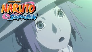 Naruto Shippuden  Ending 14  Transient Fireworks [upl. by Tomaso]