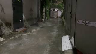 Pouring rain down a small alley at night [upl. by Nylave989]