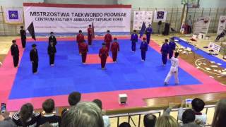 Kukkiwon Demo Team  Warsaw Poland 2015 [upl. by Penland]