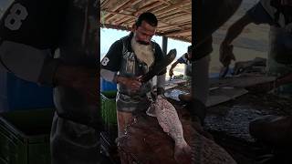 Spangled Emperor Fish Cutting fishcuttingskillssrilankashorts [upl. by Eima]