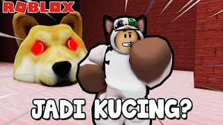 Aku Jadi Kucing ft Mabiottt AinulHaziq20 Roblox Malaysia [upl. by Goldsmith]