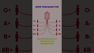 Know Your Blood Type The Importance of Proper Blood Transfusion sciencefacts blooddonation [upl. by Eiro]