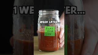 Fermented Harissa Your New FAVORITE Condiment [upl. by Akinek]