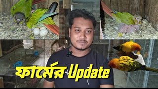 ফার্মের Update  My Birds Farm Update After 2 Week Paulandpets2421 [upl. by Anaiek]